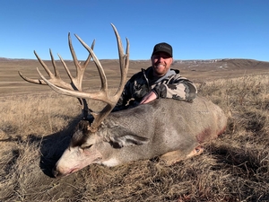 Mule deer hunting in Southern Alberta, Canada.